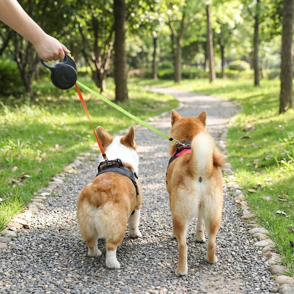 Tangle Free Dual Dog Leash